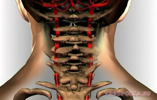 Хрустеть пальцами шеей позвоночником